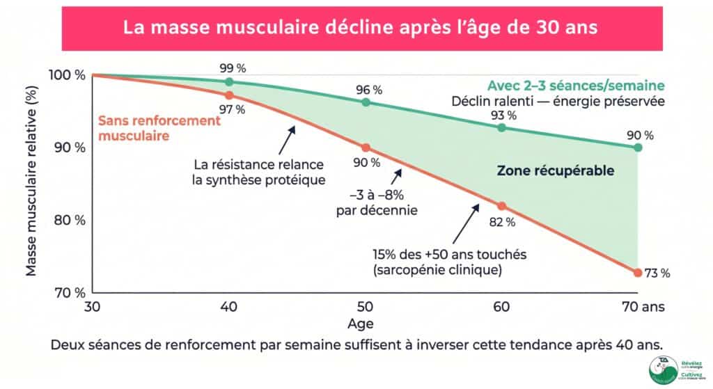 Courbe sarcopénie après 40 ans : perte musculaire stoppée par le renforcement